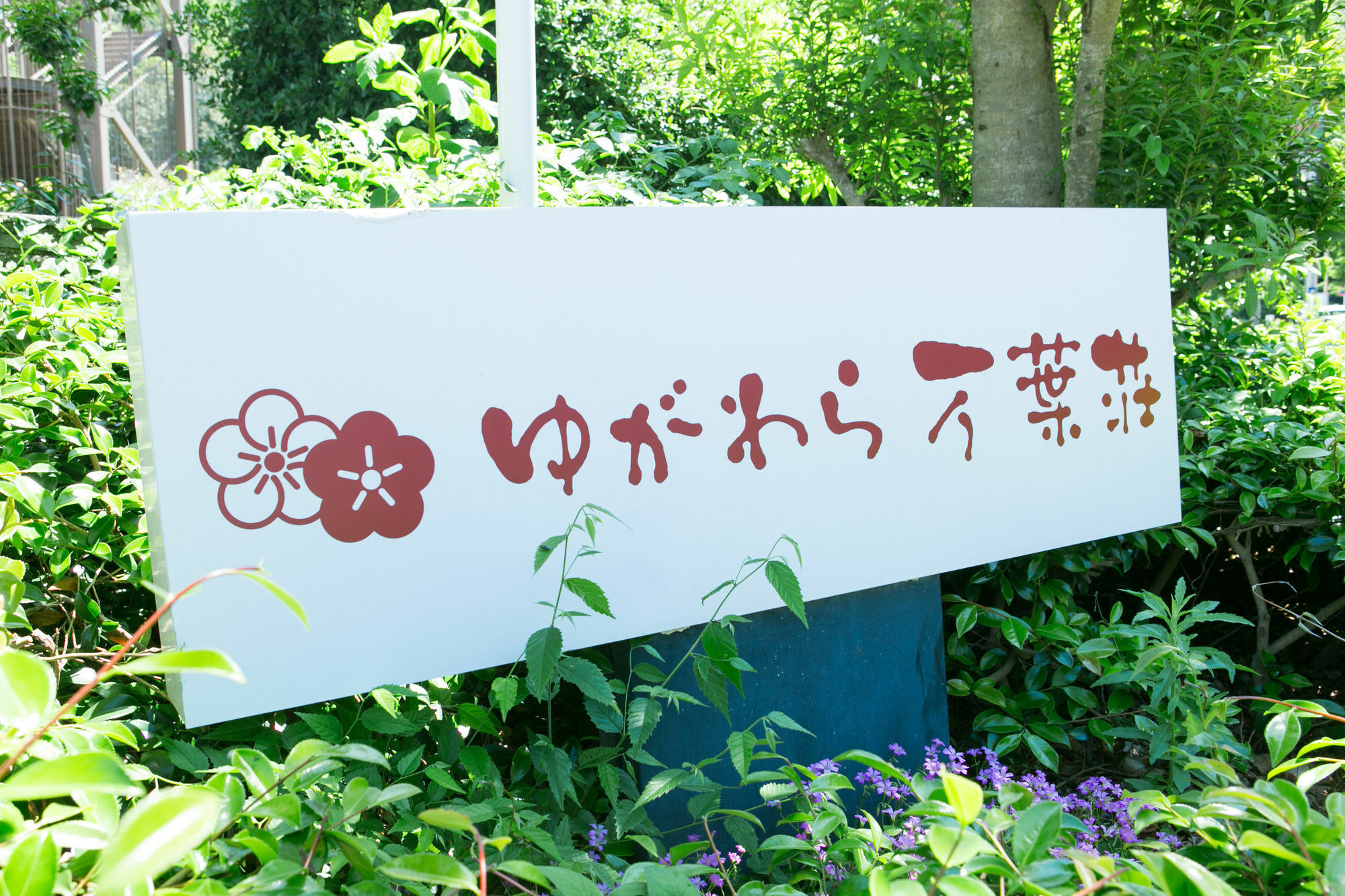 Yugawara-Onsen Manyoso Hotel Eksteriør billede
