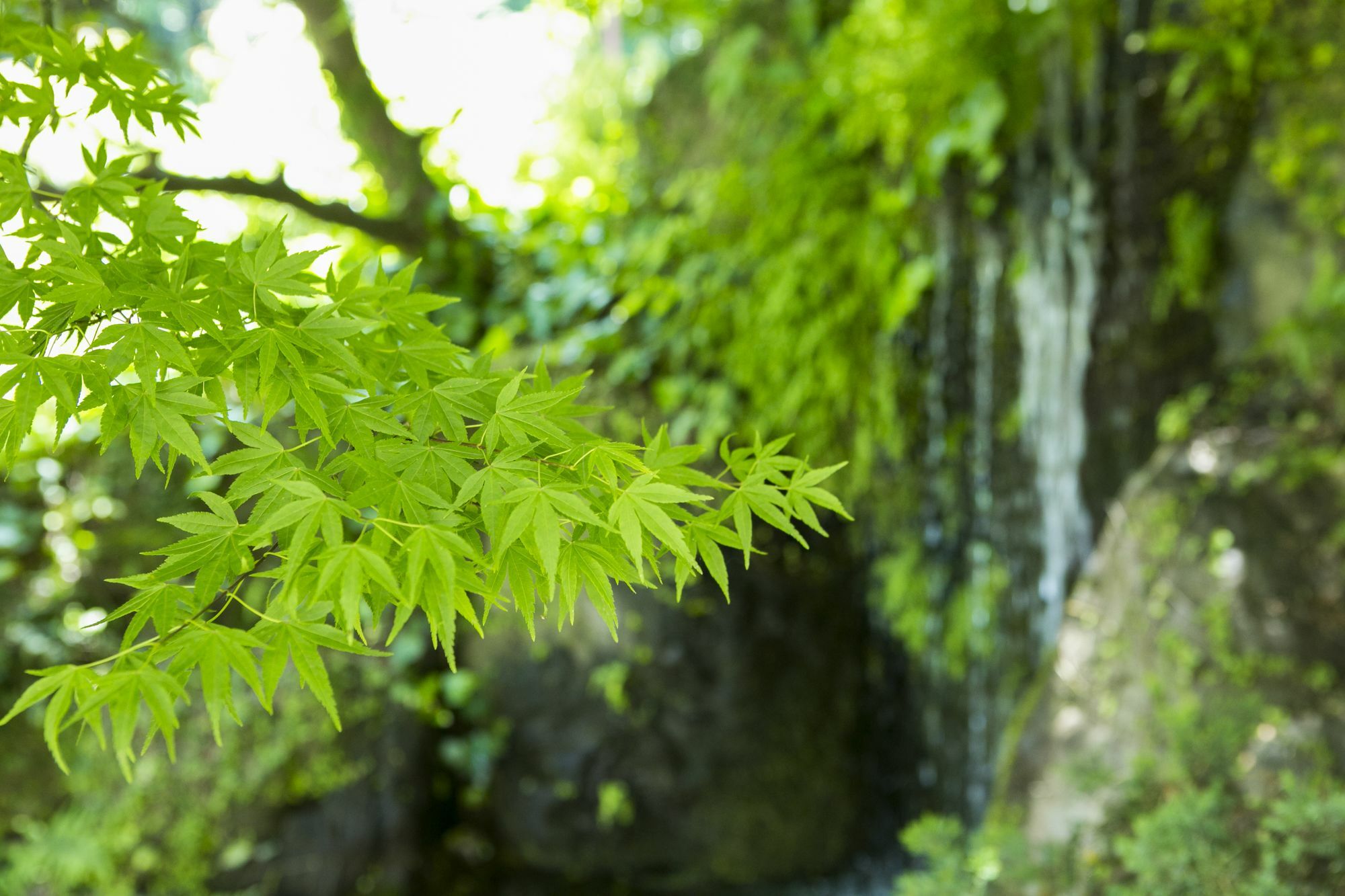 Yugawara-Onsen Manyoso Hotel Eksteriør billede